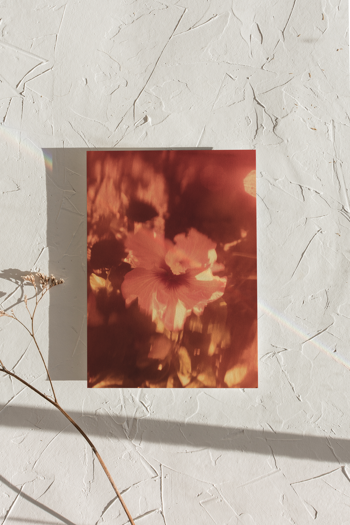 Hibnosis 07