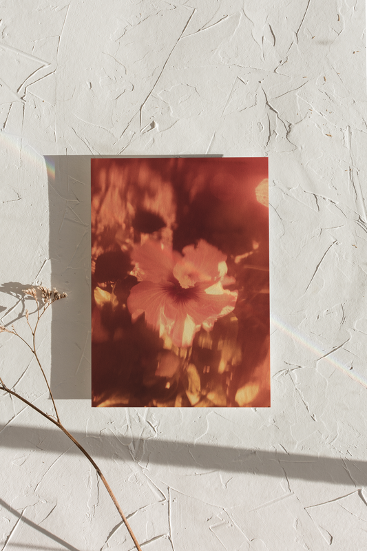 Hibnosis 07